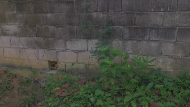 Hohe Betonmauer Verhindert Eindringen Grundstück — Stockvideo