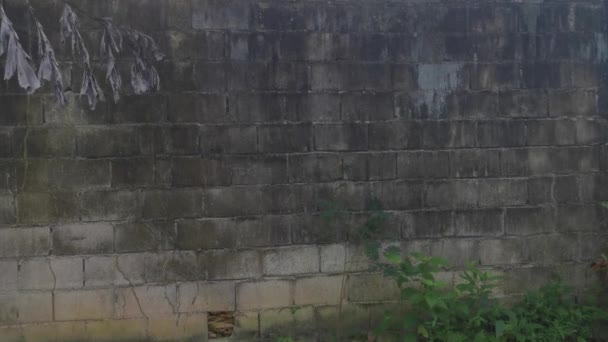 Hohe Betonmauer Verhindert Eindringen Grundstück — Stockvideo