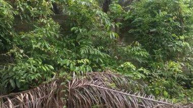 yüksek beton duvar bariyeri mülke izinsiz girmekten