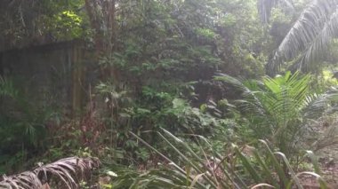 yüksek beton duvar bariyeri mülke izinsiz girmekten