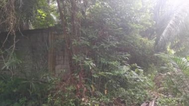 yüksek beton duvar bariyeri mülke izinsiz girmekten