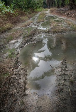 Kırsal yol boyunca yansıtıcı su birikintisi