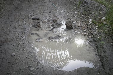 Kırsal yol boyunca yansıtıcı su birikintisi