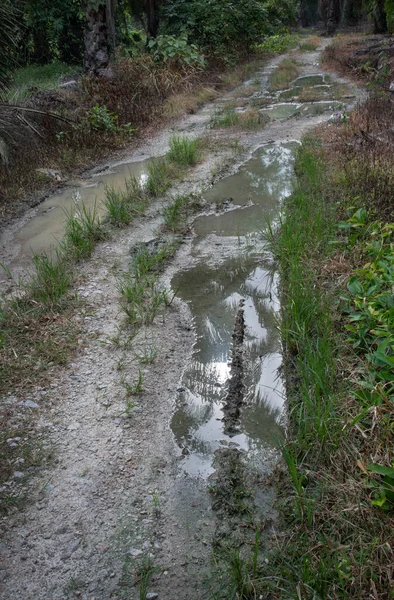 農村部の経路に沿って反射的な水たまりが — ストック写真