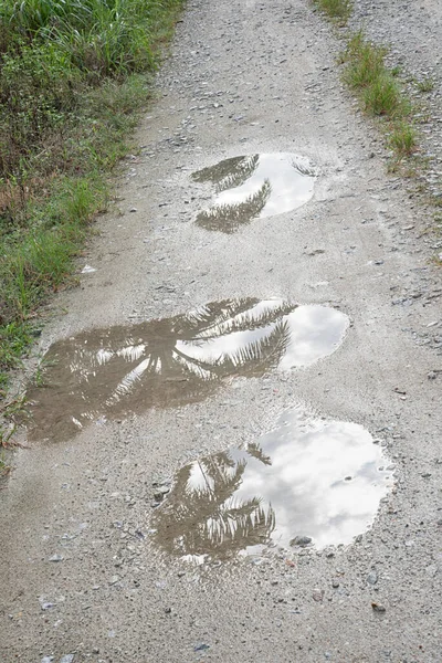 Reflecterende Plas Langs Het Landpad — Stockfoto