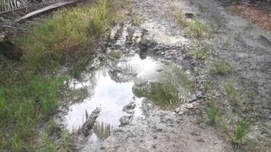 Kırsal yol boyunca yansıtıcı su birikintisi