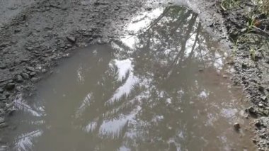 Kırsal yol boyunca yansıtıcı su birikintisi