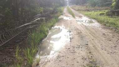 Kırsal yol boyunca yansıtıcı su birikintisi