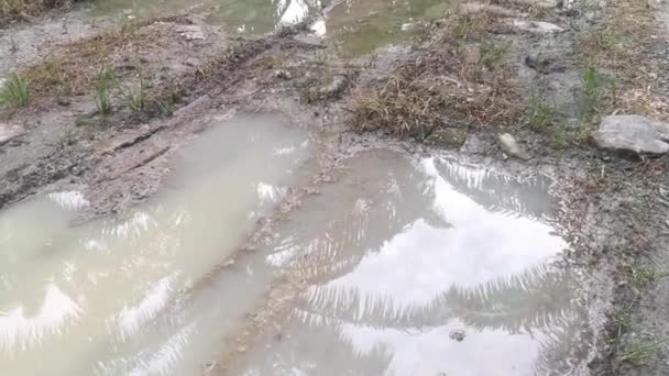 Poça Reflexiva Longo Caminho Rural — Vídeo de Stock