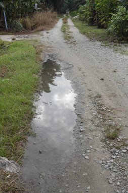 Kırsal yol boyunca yansıtıcı su birikintisi