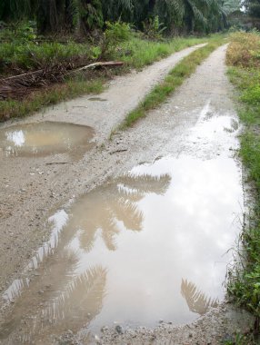 Kırsal yol boyunca yansıtıcı su birikintisi