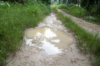 Kırsal yol boyunca yansıtıcı su birikintisi