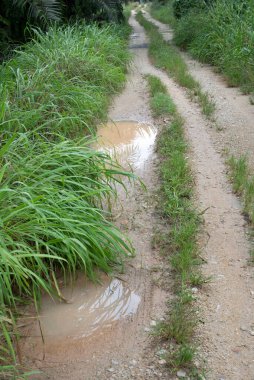 Kırsal yol boyunca yansıtıcı su birikintisi