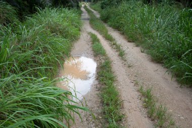 Kırsal yol boyunca yansıtıcı su birikintisi