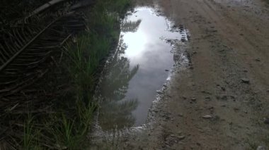 early morning scene of the reflective puddle along the rural pathway