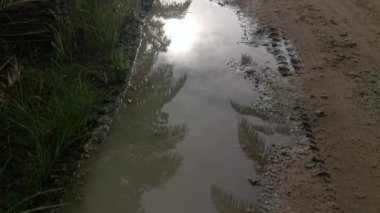 early morning scene of the reflective puddle along the rural pathway