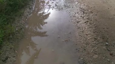 early morning scene of the reflective puddle along the rural pathway