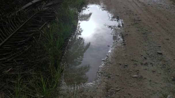 Early Morning Scene Reflective Puddle Rural Pathway — Stockvideo