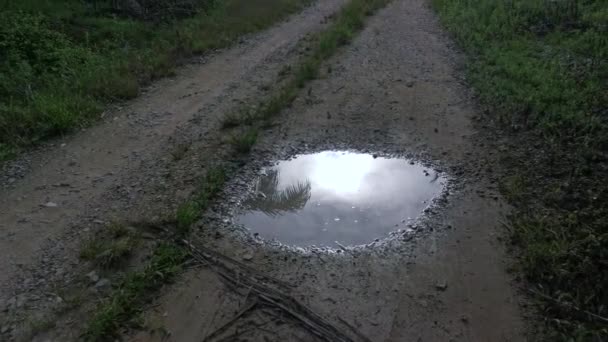 Early Morning Scene Reflective Puddle Rural Pathway — Wideo stockowe