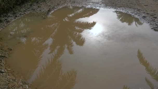 乡间小路上的水坑在倒映着 — 图库视频影像