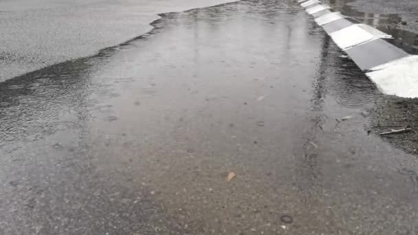 Padající Kapající Dešťová Voda Chodníku Ulice — Stock video