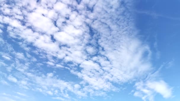 Time Lapse Scene Moving Daytime Sky — Stock Video