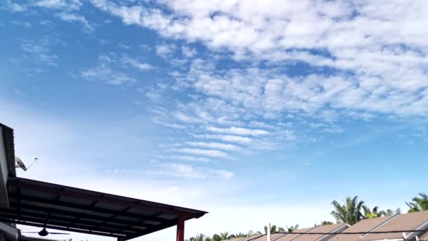 Time Lapse Scene Moving Daytime Sky — Stock Video