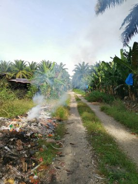 Kırsal yol boyunca yanan çöpler..