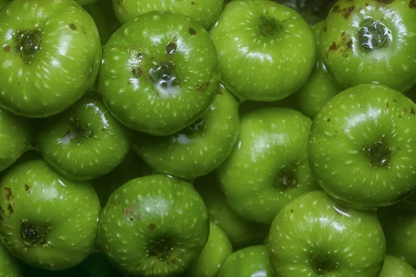 Tiro Cerca Fruta Ficus Fistulosa Salvaje — Foto de Stock