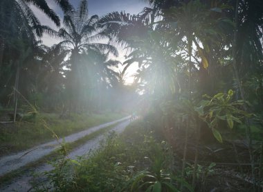 Şafak vakti, tarlaya giden yolun atmosfer manzarası.