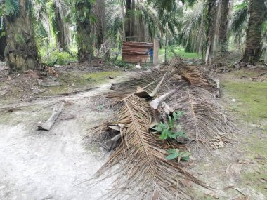 Çiftliğe basit bir ahşap kapı girişi.