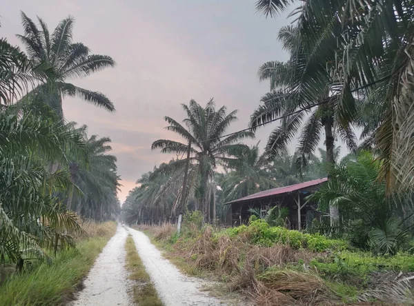 morning trail into the countryside farm