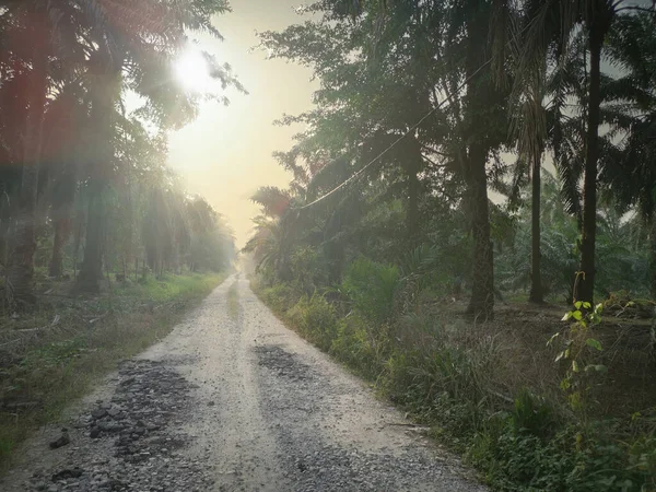 morning trail into the countryside farm