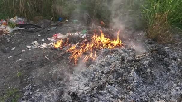 Verbranden Landelijke Open Ruimte Langs Landweg — Stockvideo