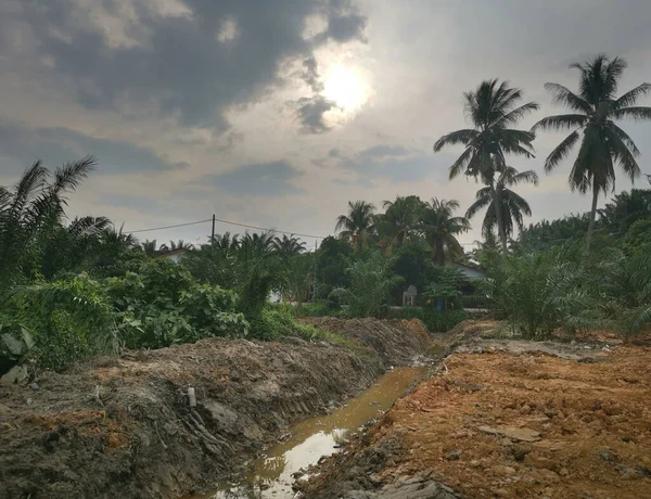 Scène Rond Taro Vegetatie Land — Stockfoto