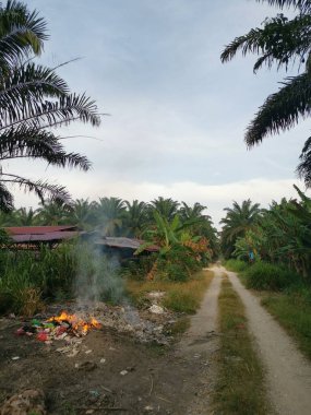 Kırsal kesimde yol kenarında açık yanma manzarası