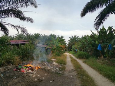 Kırsal kesimde yol kenarında açık yanma manzarası