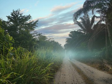 Sabah kırsal kesimdeki çiftliğe doğru