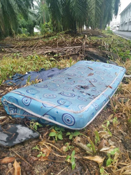 Desechado Colchón Del Tamaño Reina Lanzado Granja —  Fotos de Stock