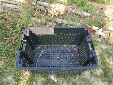 Meyve ve sebze HDPE Çiftlikte Plastik Sandık