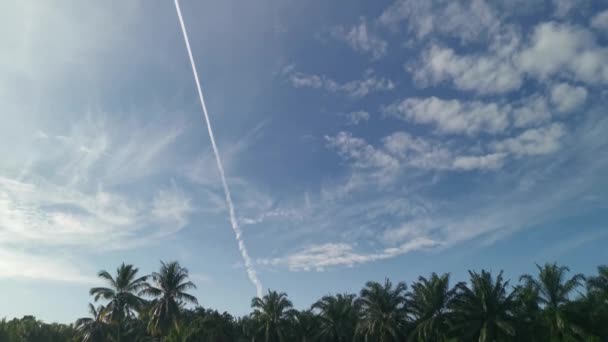 Beautiful Blue Daytime Sky Scene — Stock Video