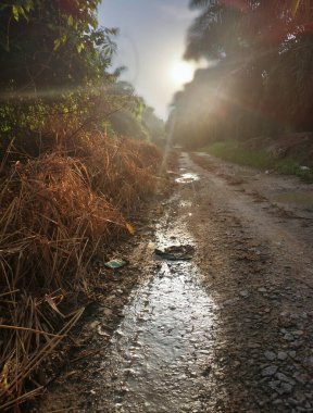 Kırsal arazinin etrafındaki sabah manzarası