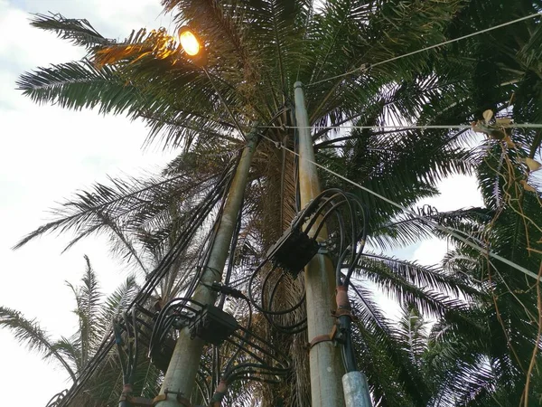 Escena Del Poste Eléctrico Por Calle —  Fotos de Stock