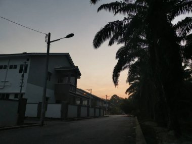 ağaçlar ya da yapraklar yerleşim caddesi boyunca ya da çevresinde büyür..