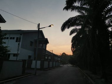 ağaçlar ya da yapraklar yerleşim caddesi boyunca ya da çevresinde büyür..