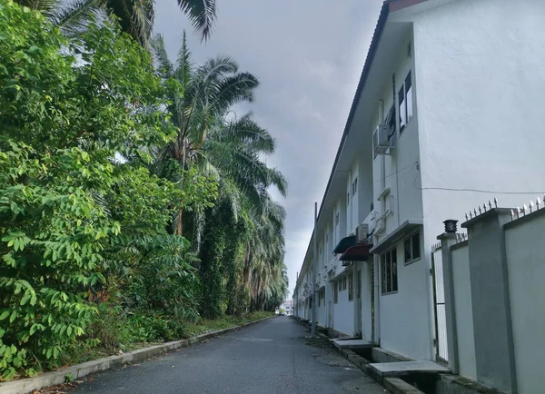 Árvores Crescimento Folhagem Longo Torno Rua Residencial — Fotografia de Stock