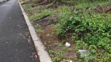 Yere atılmış beyaz plastik bardak.