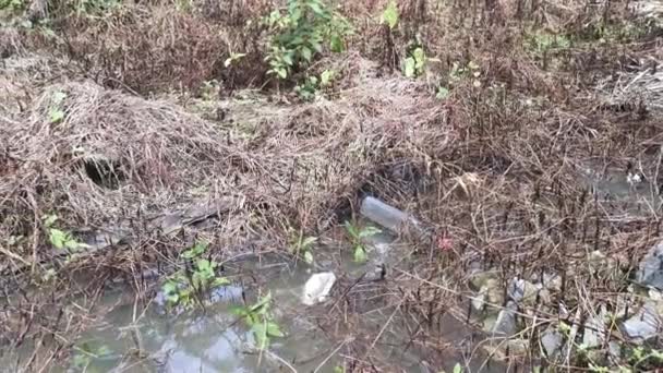 Weggeworfene Glasflasche Schwimmt Auf Der Schmutzwasseroberfläche — Stockvideo