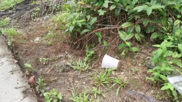 Desechado Taza Plástico Blanco Suelo — Vídeo de stock