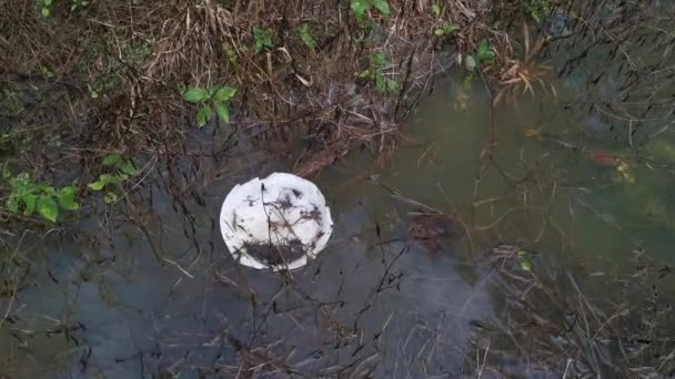 Piring Styrofoam Dibuang Mengambang Permukaan Air Kotor — Stok Video